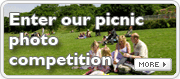 Picnic Photography Competition