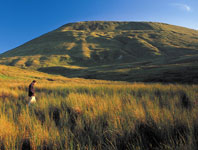 Pendle Hill