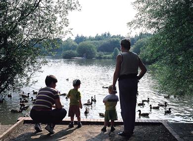 Longton Brickcroft Nature Reserve