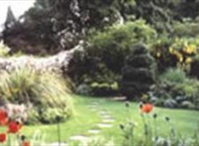 Barbara Barlow's Cottage Garden