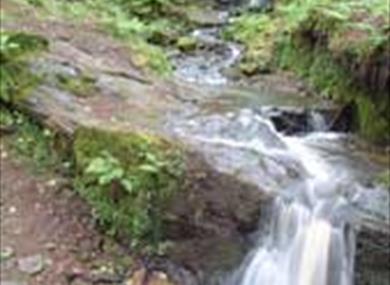 Fairy Glen