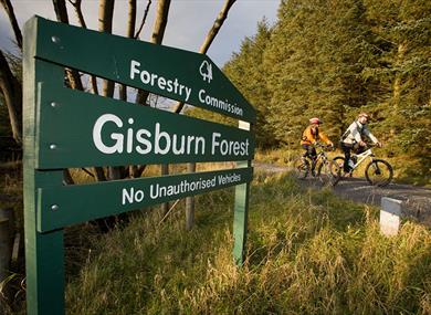 Gisburn Forest