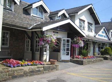 MacDonald Tickled Trout Hotel