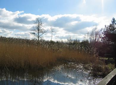 The Wildlife Trust's Mere Sands Wood