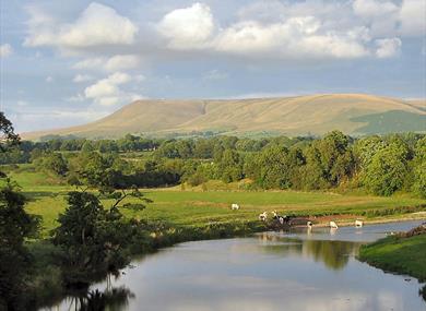 Pendle Hill