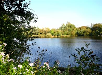 longton brickcroft