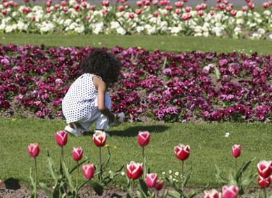 Little girl enjoying Stanly Park