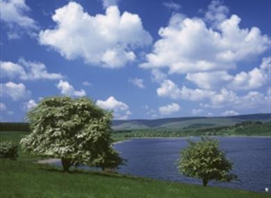 Stocks Fly Fishery