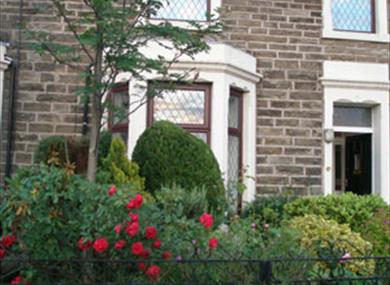 The Rowan Tree