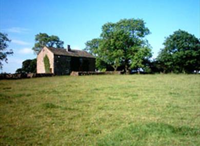 Tewit and Badger Cottages