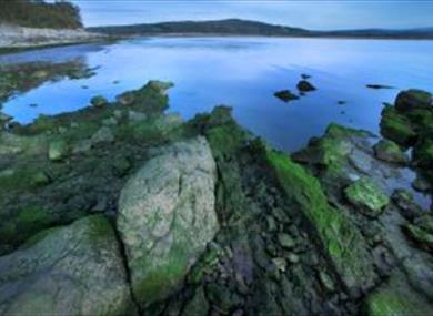 Jenny Brown's Point in Silverdale by Ben Hall