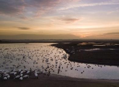 Wildfowl & Wetland Trust Martin Mere