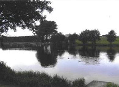 Pendle View Fisheries