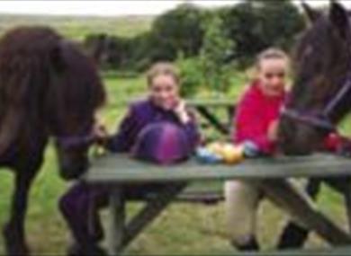 Pony Trekking Picinics