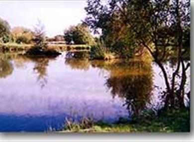 Redwell Fisheries, Carnforth