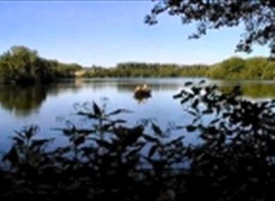 Cleveley Mere Fishing Lakes
