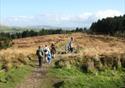 Beacon Fell Country Park