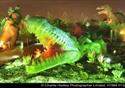 Dinosaurs at night