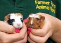 Farmer Parrs Animal World
