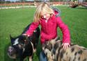 Farmer Parrs Animal World