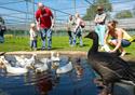 Wildfowl & Wetland Trust Martin Mere