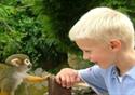 Monkey and boy