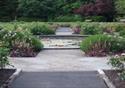 Rose Garden