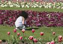 Little girl enjoying Stanly Park