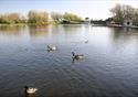 Stanley Park Lake