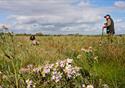 Wyre Estuary Country Park & Wyreside Visitor Centr