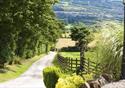 Down the lane