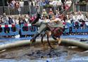 World Gravy Wrestling Championship