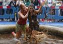 World Gravy Wrestling Championship
