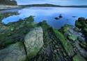 Jenny Brown's Point in Silverdale by Ben Hall