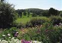 Downham Hall Gardens