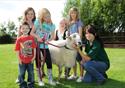 Family fun at Farmer Parrs