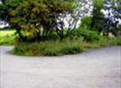Thumbnail for Equinox Walk