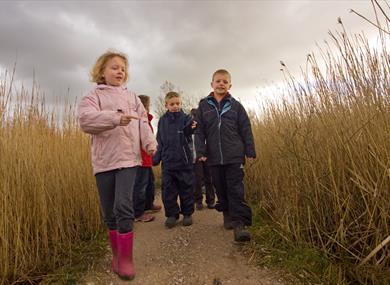 Copyright Ben Hall (rspb-images.com)