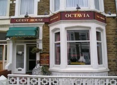 Thumbnail for Octavia Guest House