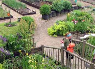 Thumbnail for Offshoots Permaculture Centre