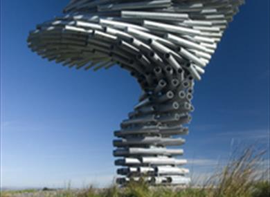Thumbnail for Singing Ringing Tree Celebration Day