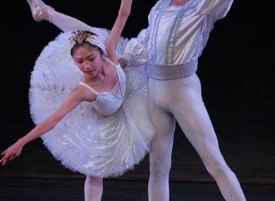 Thumbnail for Vienna Festival Ballet present Swan Lake