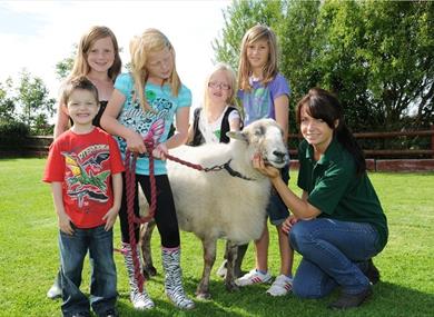 Meet the animals at Farmer Parrs Animal World, Fleetwood