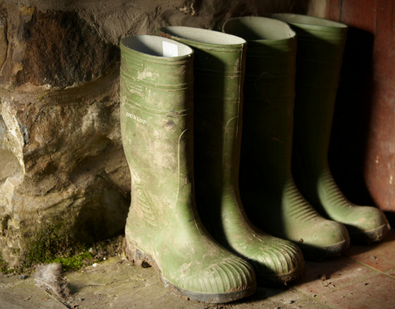 Our Top Lancashire Walks - Visit Lancashire