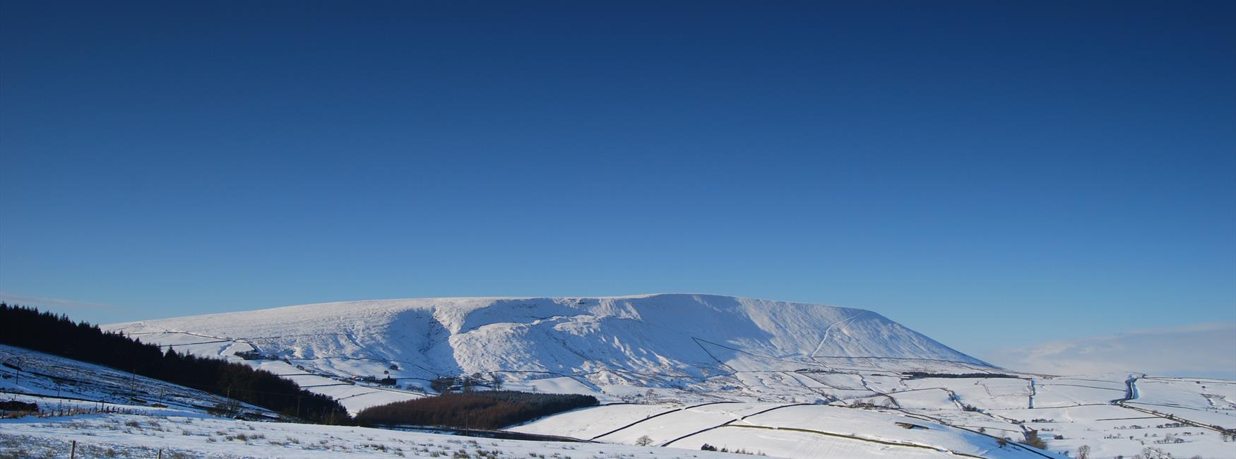 COVID-19 Visitor Update