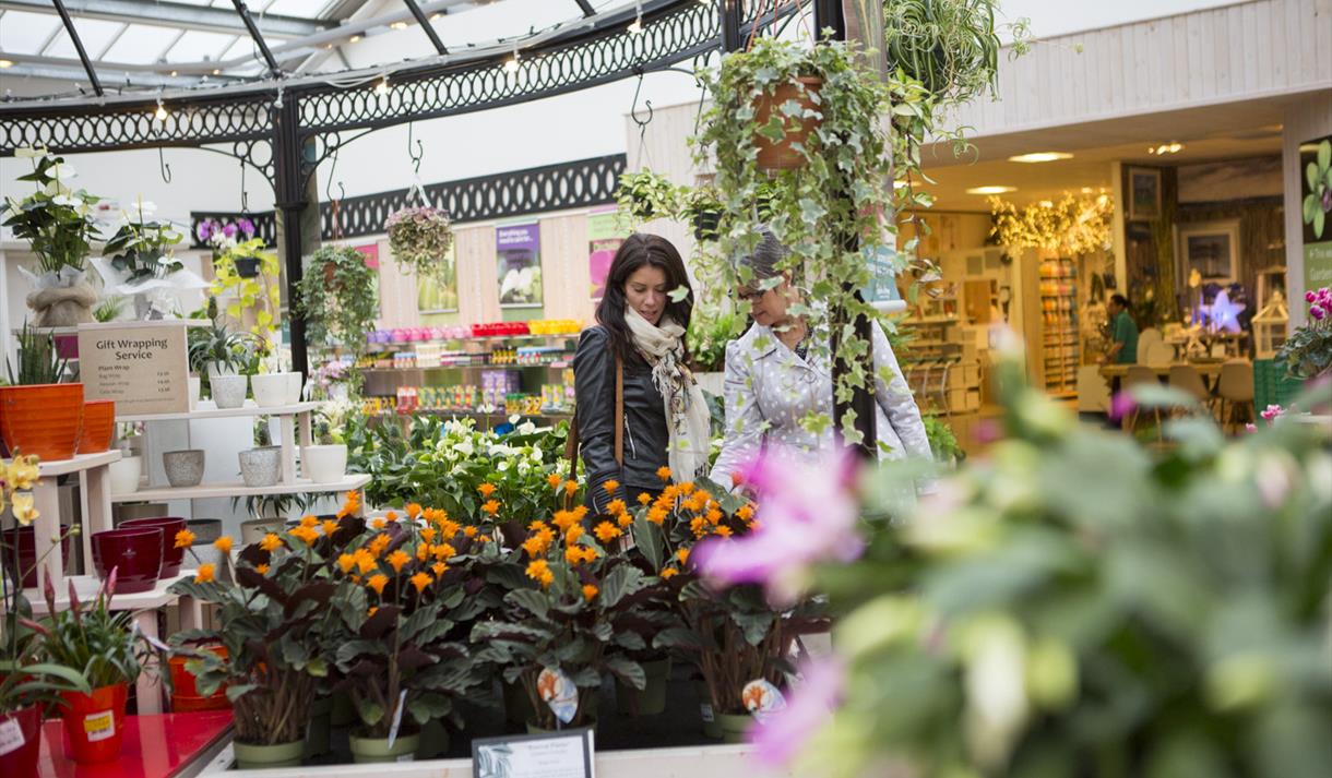 Barton Grange Garden Centre Garden Centre in Brock, Garstang Visit