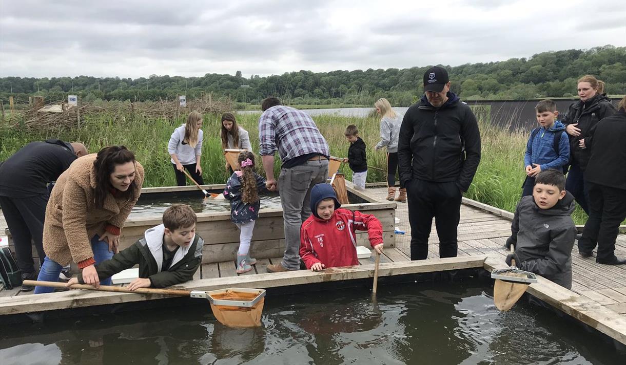 Pond Dipping Nature in Preston, Samlesbury Visit Lancashire