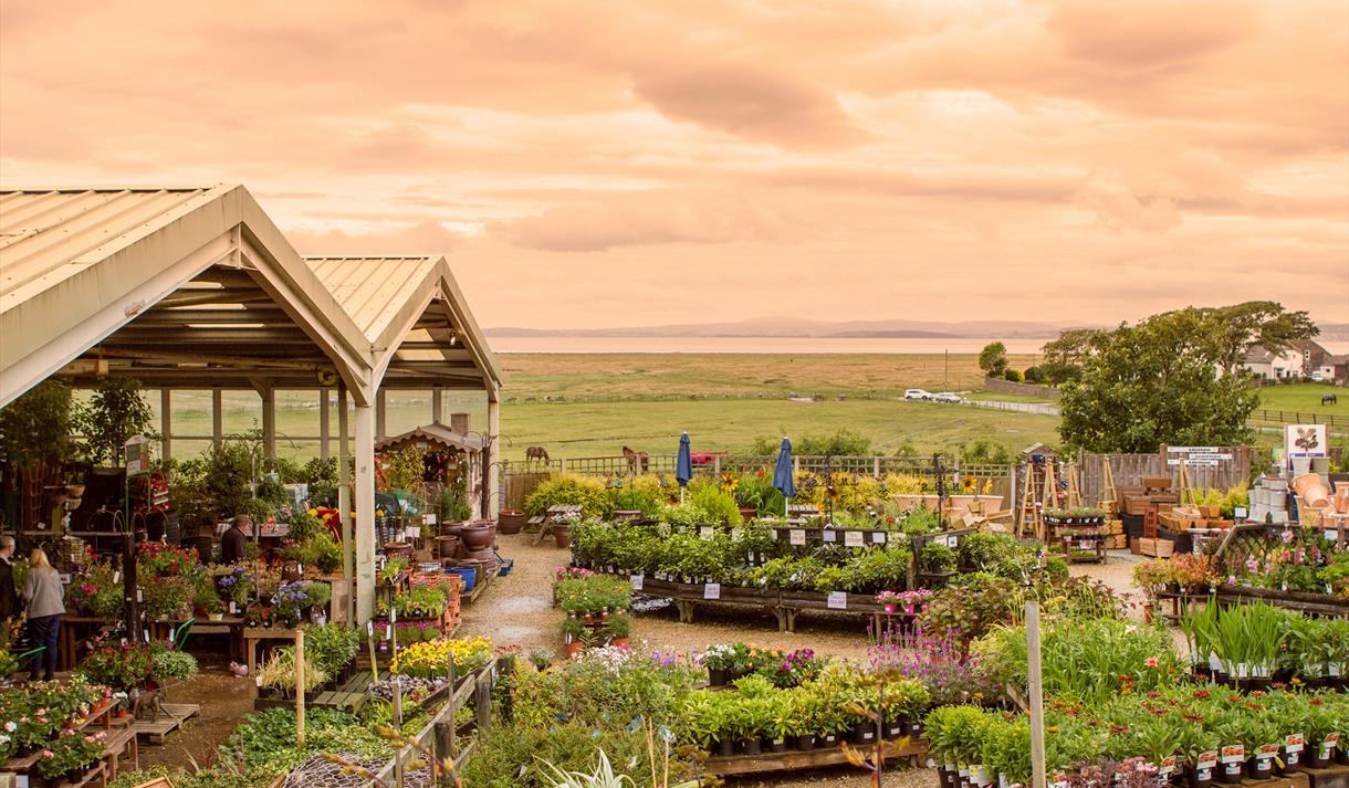 Bay View Garden Centre & Allium Eatery - Garden Centre in  